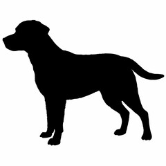 Dog Breeds Silhouette Svg Bundle, Dog Breed Svg,,Dog Silhouette Bundle, Dogs Mega Silhouette Bundle, Dogs Silhouette SVG Png, Dog Silhouette, Dog Breed Silhouette