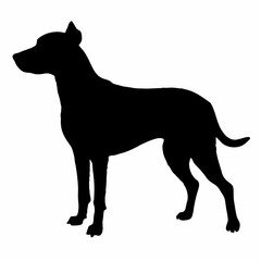 Dog Breeds Silhouette Svg Bundle, Dog Breed Svg,,Dog Silhouette Bundle, Dogs Mega Silhouette Bundle, Dogs Silhouette SVG Png, Dog Silhouette, Dog Breed Silhouette