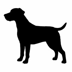 Dog Breeds Silhouette Svg Bundle, Dog Breed Svg,,Dog Silhouette Bundle, Dogs Mega Silhouette Bundle, Dogs Silhouette SVG Png, Dog Silhouette, Dog Breed Silhouette