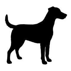 Dog Breeds Silhouette Svg Bundle, Dog Breed Svg,,Dog Silhouette Bundle, Dogs Mega Silhouette Bundle, Dogs Silhouette SVG Png, Dog Silhouette, Dog Breed Silhouette