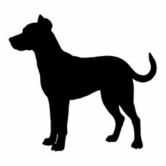 Dog Breeds Silhouette Svg Bundle, Dog Breed Svg,,Dog Silhouette Bundle, Dogs Mega Silhouette Bundle, Dogs Silhouette SVG Png, Dog Silhouette, Dog Breed Silhouette