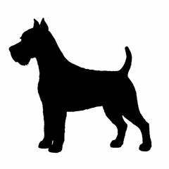 Dog Breeds Silhouette Svg Bundle, Dog Breed Svg,,Dog Silhouette Bundle, Dogs Mega Silhouette Bundle, Dogs Silhouette SVG Png, Dog Silhouette, Dog Breed Silhouette