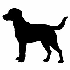 Dog Breeds Silhouette Svg Bundle, Dog Breed Svg,