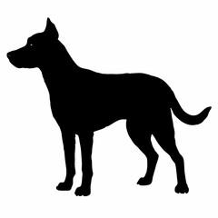 Dog Breeds Silhouette Svg Bundle, Dog Breed Svg,