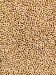 Sorghum beans 