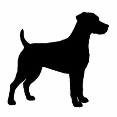 Dog Breeds Silhouette Svg Bundle, Dog Breed Svg,
