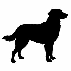 Dog Breeds Silhouette Svg Bundle, Dog Breed Svg,