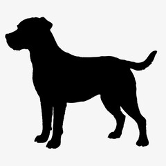 Dog Breeds Silhouette Svg Bundle, Dog Breed Svg,