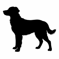 Dog Breeds Silhouette Svg Bundle, Dog Breed Svg,