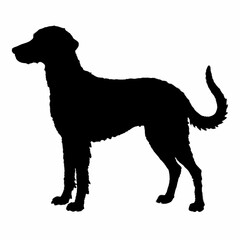 Dog Breeds Silhouette Svg Bundle, Dog Breed Svg,