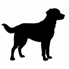 Dog Breeds Silhouette Svg Bundle, Dog Breed Svg,