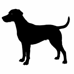 Dog Breeds Silhouette Svg Bundle, Dog Breed Svg,