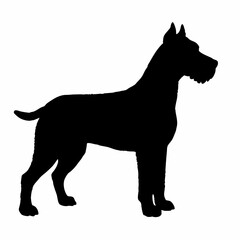 Dog Breeds Silhouette Svg Bundle, Dog Breed Svg,