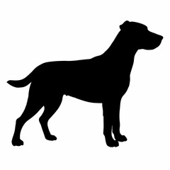 Dog Breeds Silhouette Svg Bundle, Dog Breed Svg,