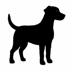 Dog Breeds Silhouette Svg Bundle, Dog Breed Svg,