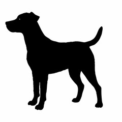 Dog Breeds Silhouette Svg Bundle, Dog Breed Svg,