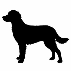 Dog Breeds Silhouette Svg Bundle, Dog Breed Svg,