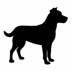 Dog Breeds Silhouette Svg Bundle, Dog Breed Svg,