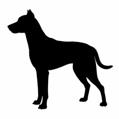 Dog Breeds Silhouette Svg Bundle, Dog Breed Svg,