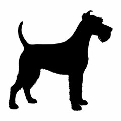 Dog Breeds Silhouette Svg Bundle, Dog Breed Svg,