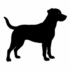 Dog Breeds Silhouette Svg Bundle, Dog Breed Svg,