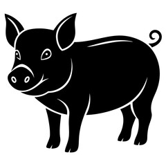 pig on a white background