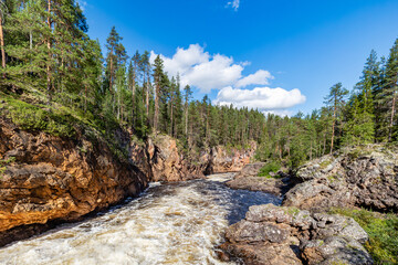 Obraz premium river in the forest