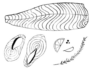 salmon fish and fillet illustration, doodles of salmon fish and spices