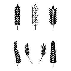 Set of Wheat or grain icon vector logo design template