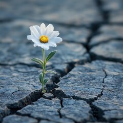 Resilience in Bloom - Symbolic Image of a Flower Thriving in Cracked Concrete Signifying Triumph Over Adversity
