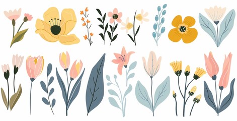 Floral illustration featuring various colorful flowers and leaves on a white background