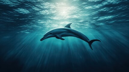 Fototapeta premium A graceful dolphin swimming gracefully through tranquil ocean waters, illuminated by soft sunlight filtering from above.