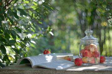 Composition with small red apples in a glass jar and an open book on a table top in a sunny summer garden