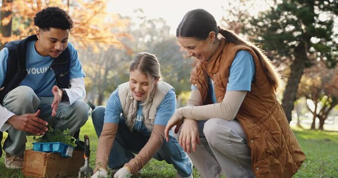 Plant, gardening and group of volunteers in nature with eco friendly, sustainability and growth. Field, leaf and team of ngo employees with green tree for clean energy project for charity in park.
