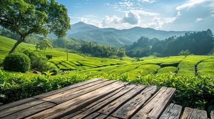 Serene landscape featuring lush green tea fields under a vibrant sky, perfect for showcasing nature's beauty and tranquility.