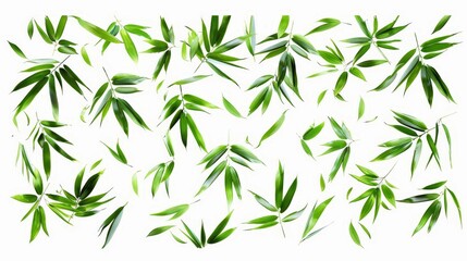Fototapeta premium A vibrant arrangement of bamboo leaves showcasing the beauty of nature. Perfect for backgrounds and eco-friendly themes.