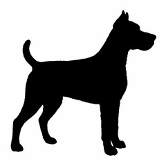 Dog Breeds Silhouette Svg Bundle, Dog Breed Svg,