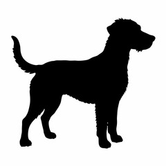 Dog Breeds Silhouette Svg Bundle, Dog Breed Svg,