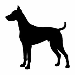 Dog Breeds Silhouette Svg Bundle, Dog Breed Svg,