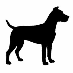 Dog Breeds Silhouette Svg Bundle, Dog Breed Svg,