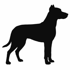 Dog Breeds Silhouette Svg Bundle, Dog Breed Svg,