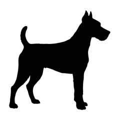 Dog Breeds Silhouette Svg Bundle, Dog Breed Svg,