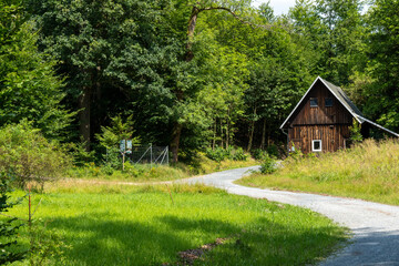 Wanderweg im Großen Zschand 1