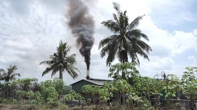 Industrial factory pollution from palm oil factory in Indonesia. Smoke coming out of the chimneys at the sunny day