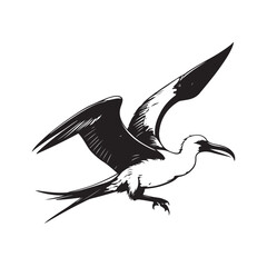 Frigatebird line art vector silhouette with white Background