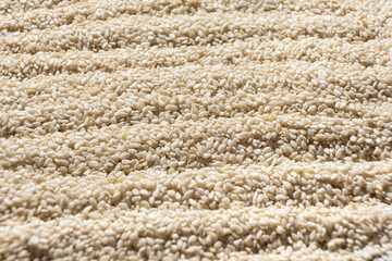 White sesame background, close-up, side view.