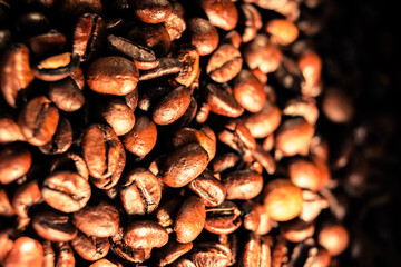 Obraz premium Kaffeebohnen in sonnigem Licht