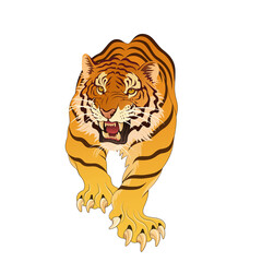 Tiger illustration transparent background tattoo design