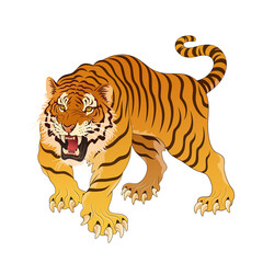 Tiger illustration transparent background tattoo design