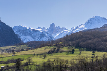 Naranjo de bulnes en los picos de europa